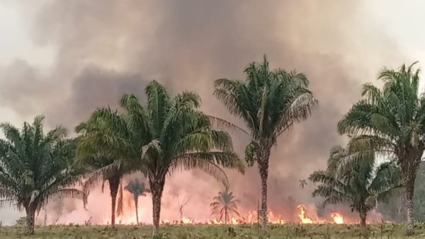 Los incendios amenazan al Parque Nacional Madidi. Foto: Alcaldía de San Buenaventura.