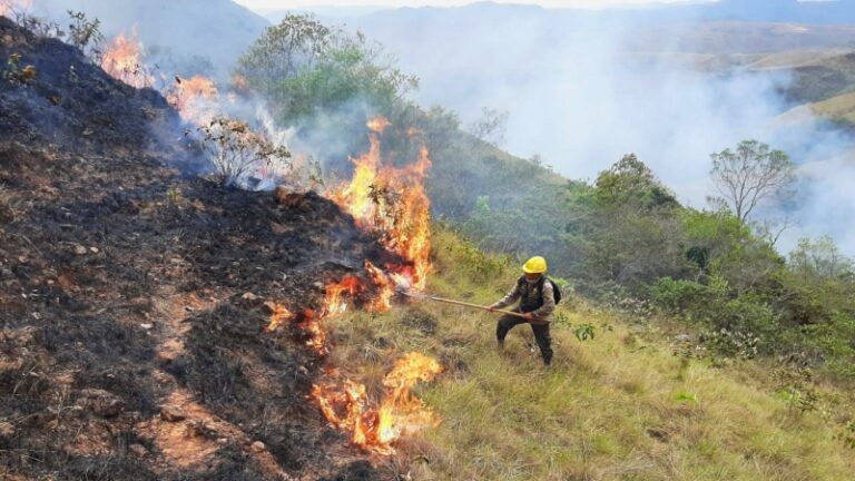 Incendios Bolivia. ONG Manos Unidas