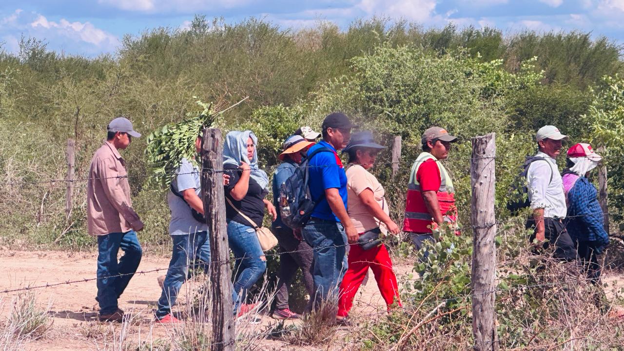 Avasallamiento al área protegida Palmera de Saó