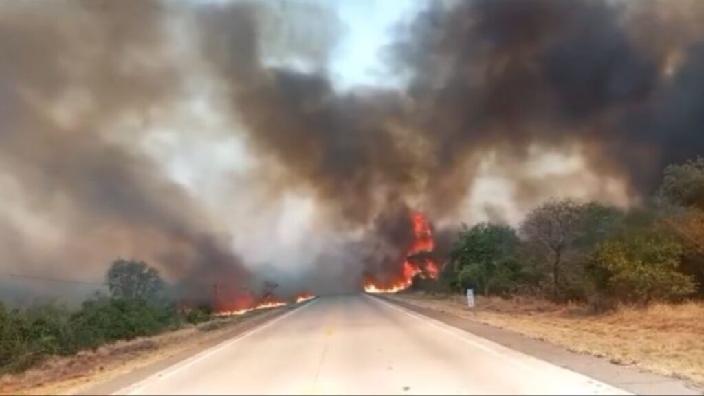 Incendios en Roboré, en Santa Cruz. Foto: RRSS