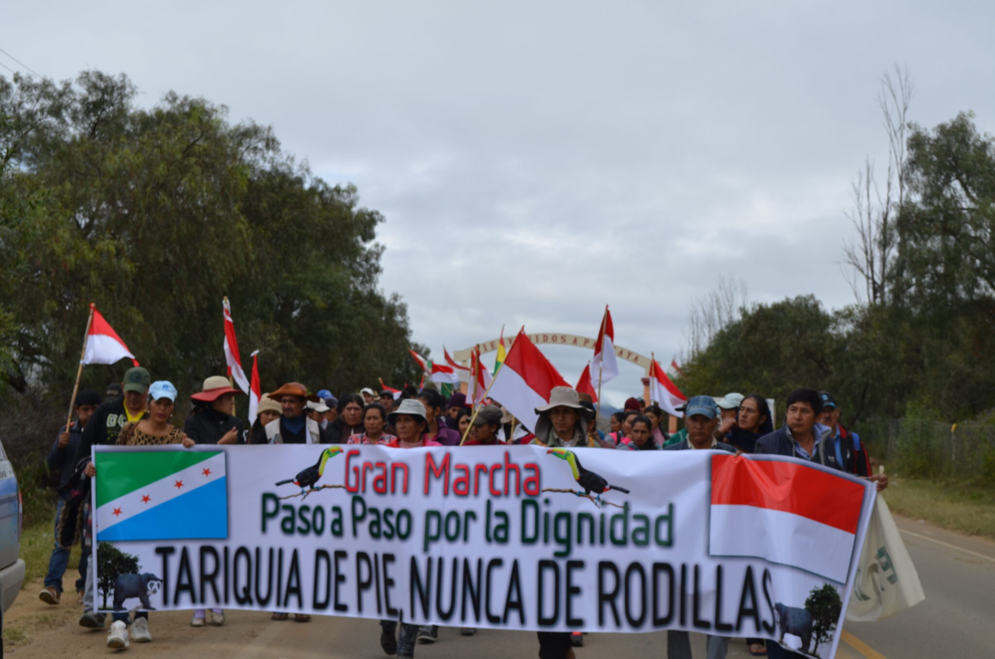 Marcha Tariquía Foto: RRSS