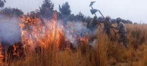 Incendios en Bolivia. Foto: ABI