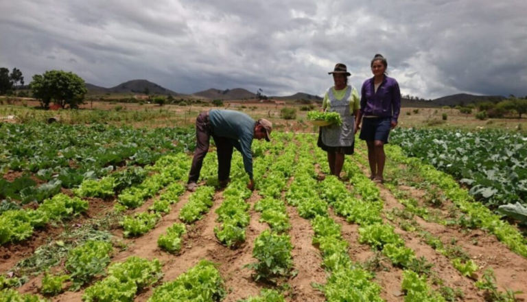 Agroecología en Bolivia. Foto tomada de ANA