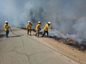 Bomberos voluntarios trabajan para apagar el fuego en Sama Tarija Foto El País Tarija