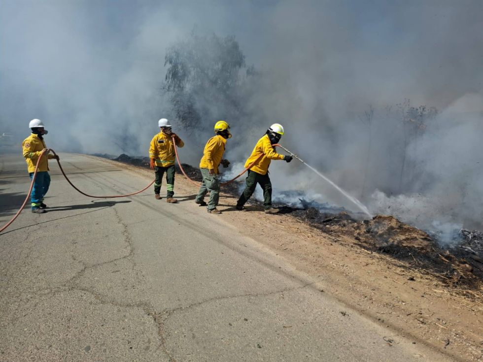 Bomberos voluntarios trabajan para apagar el fuego en Sama Tarija Foto El País Tarija