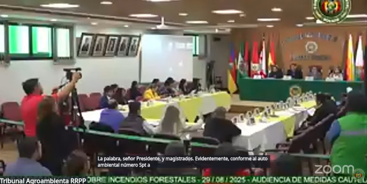 Audiencia del Tribunal Agroambiental. Foto: Captura de pantalla del TA