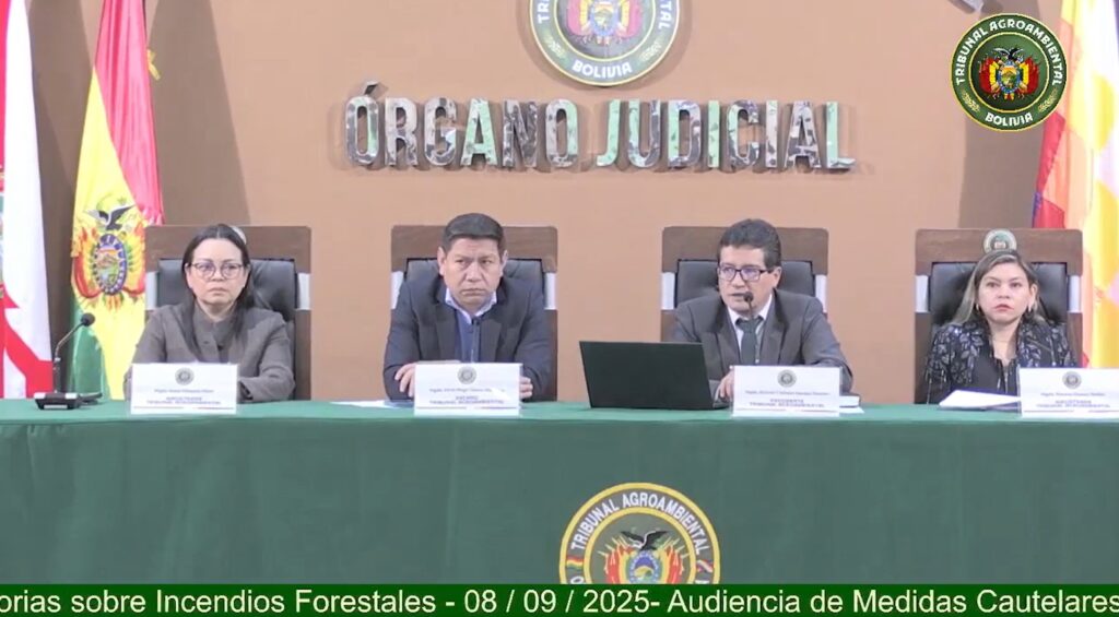 Tribunal Agroambiental durante la audiencia del 8 de septiembre. Foto: Captura de pantalla