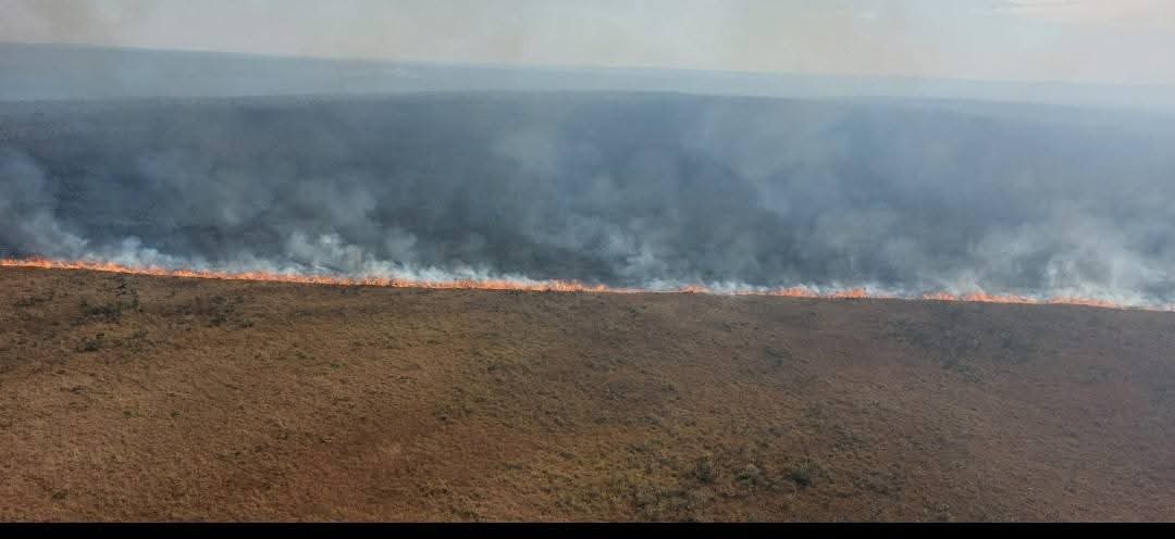 Incendio en el Parque Noel Kempff Mercado. Foto EL DEBER