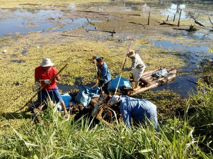 Limpieza de la laguna Los Sauces en Rurrenabaque. Foto: Juan Carlos Guerrero Ábrego