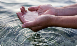 Agua. Foto: LinkedIn