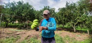 Frente a ese escenario, Goisu decidió participar en un taller de formación ambiental para fortalecer sus herramientas de defensa. “Quiero llevar todo lo que estoy aprendiendo a mi comunidad, socializarlo y hacer entender que tenemos que frenar esto”, explica. El espacio también le permitió reflexionar sobre el rol de las mujeres en la protección del territorio. “Antes solo los hombres podían opinar, pero ahora también tenemos derecho. Y somos nosotras quienes más cuidamos el medio ambiente”, afirma.