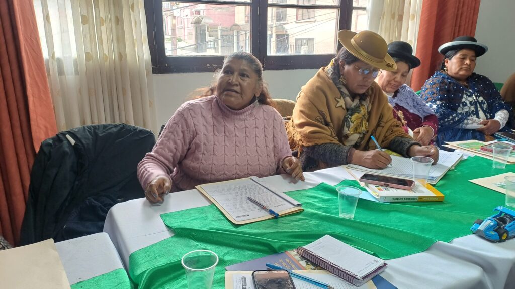 TITULO PROFESIONAL: Minería ilegal devasta comunidades y contamina recursos en Oruro