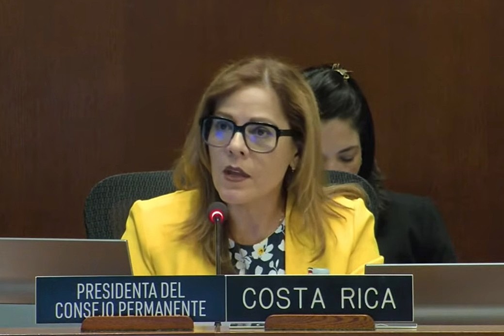 La presidenta del Consejo Permanente de la OEA, Alejandra Solano.