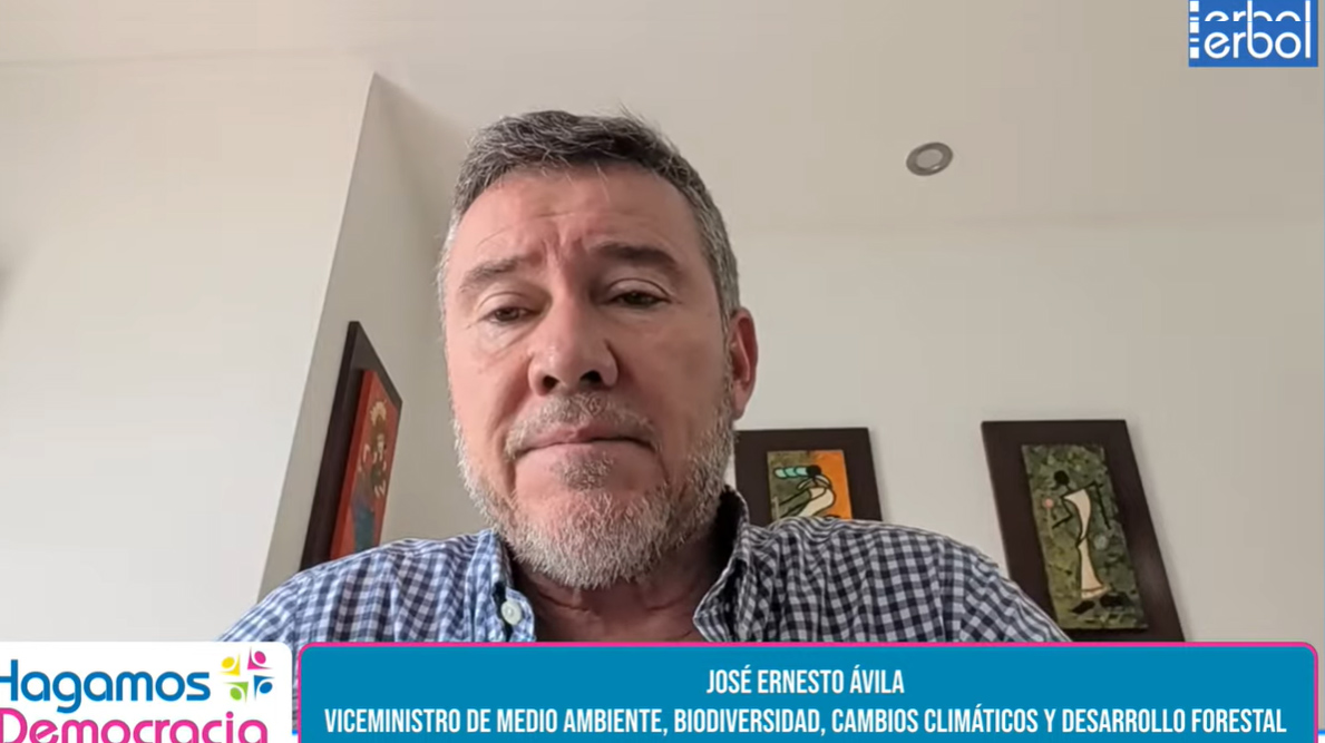 Vviceministro de Medio Ambiente, José Ernesto Ávila. oto/captura