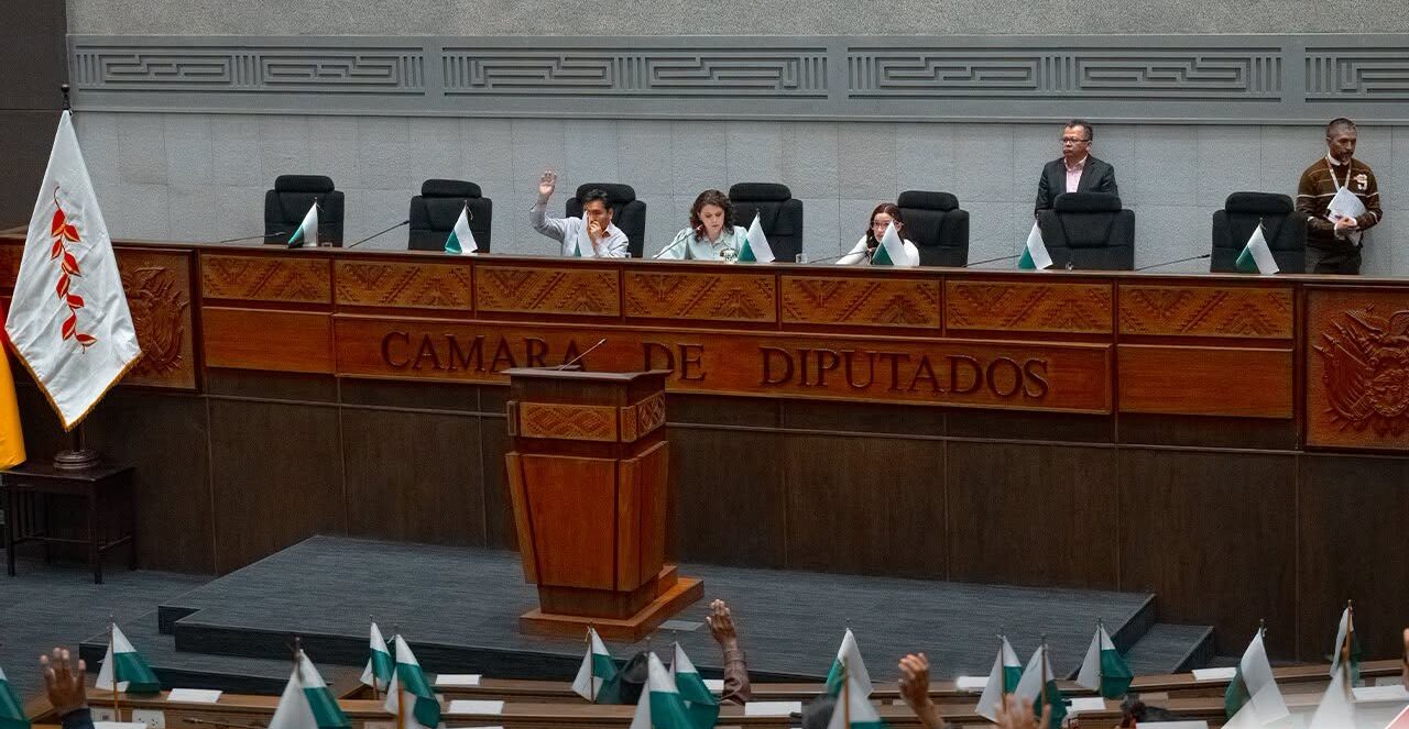 Legisladores durante la votación en la sesión ordinaria. Foto: Cámara de Diputados.
