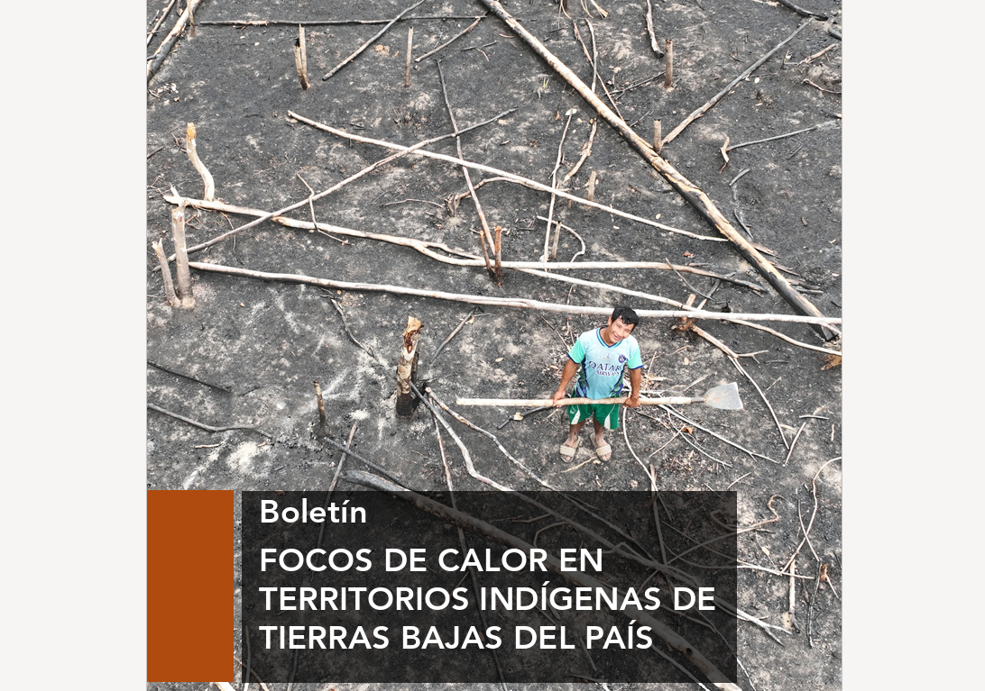 Captura de pantalla del boletín del CEJIS