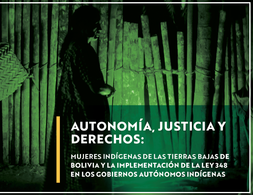 Investigación del CEJIS